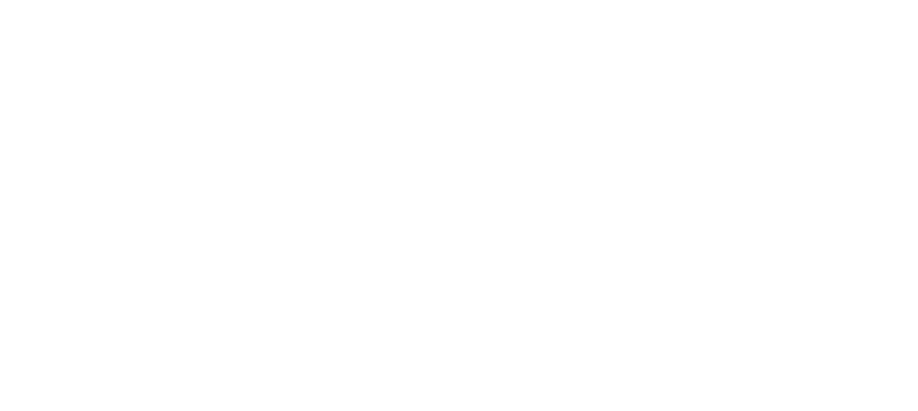 Fz Funnel logo file-07white png